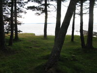 Chapter 56: Camp Site