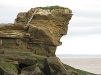 Chapter 56: Jumping Off Place